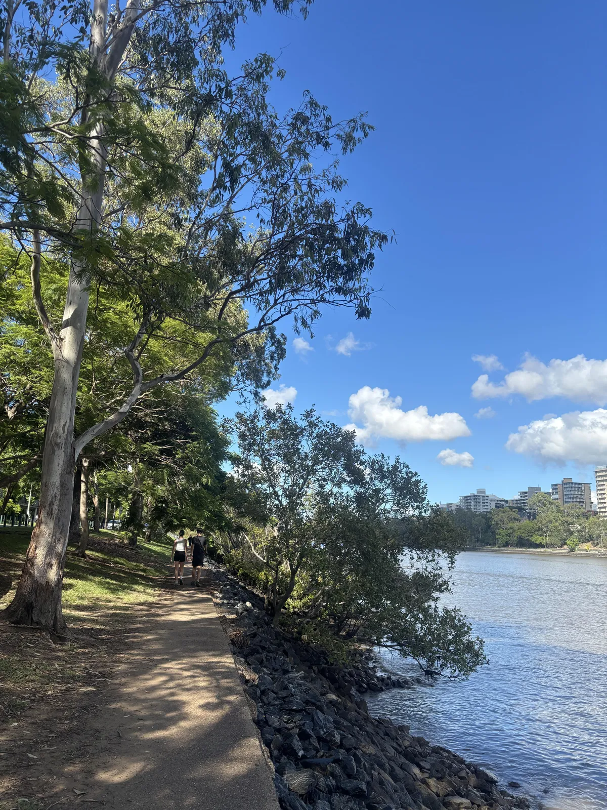 A photo of a path by the Brisbane River's south bank, showing the water to the right and a walkway partly shaded by trees against a blue sky